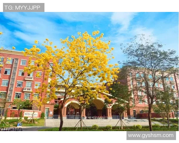 观澜湖华侨中学足球明星的成长之路与未来展望